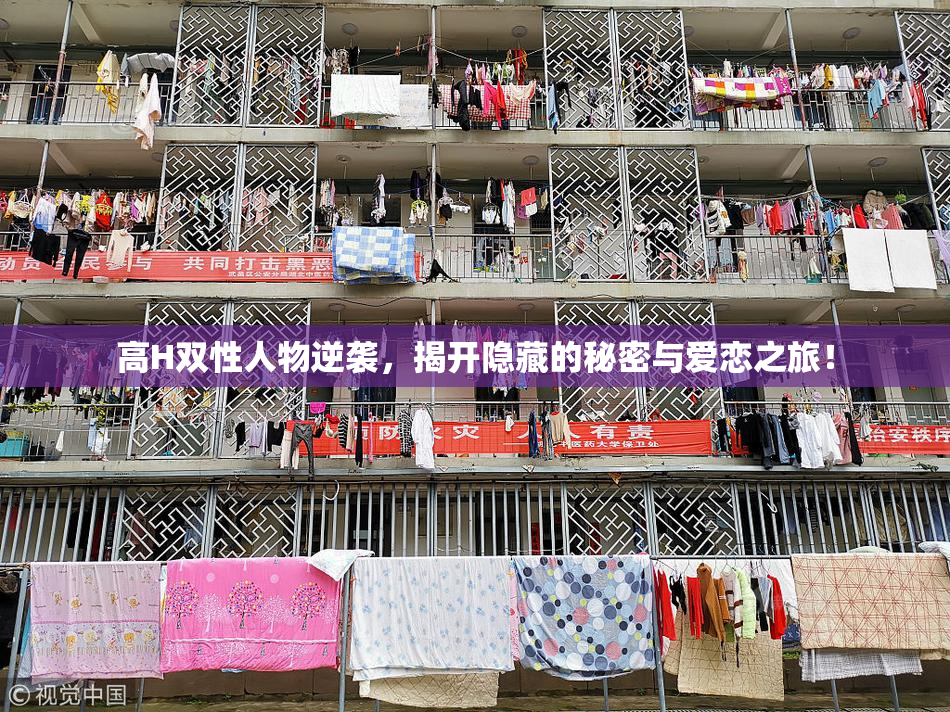 高H双性人物逆袭，揭开隐藏的秘密与爱恋之旅！
