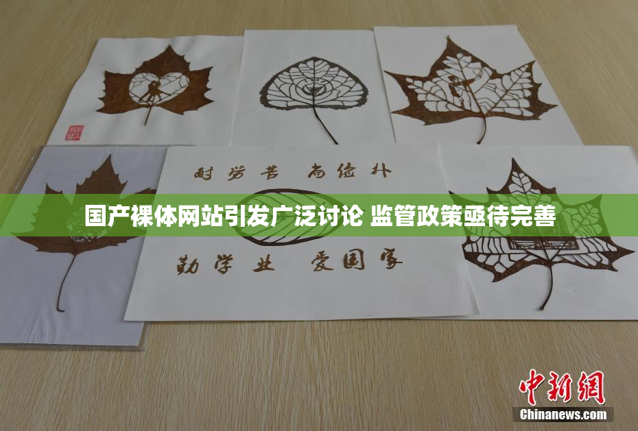 国产裸体网站引发广泛讨论 监管政策亟待完善