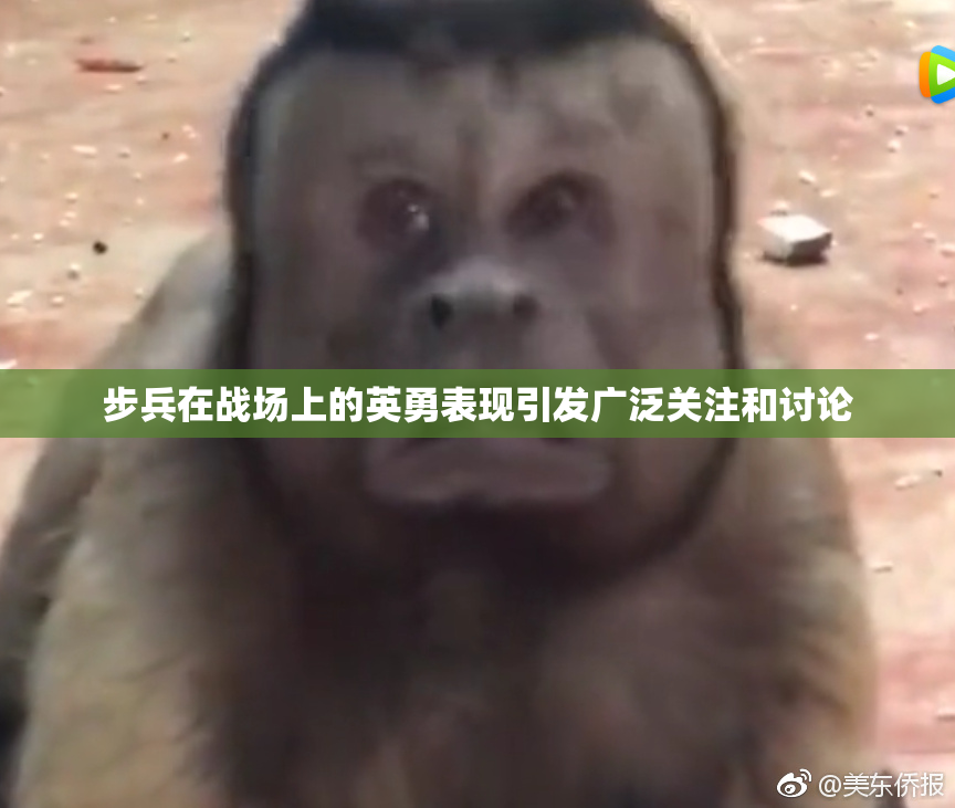 步兵在战场上的英勇表现引发广泛关注和讨论
