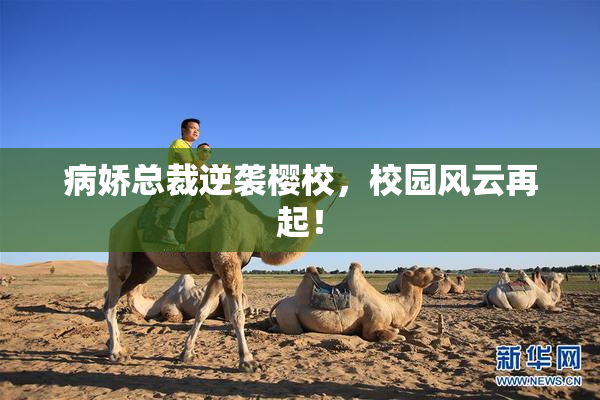 病娇总裁逆袭樱校，校园风云再起！