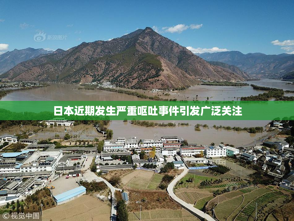 日本近期发生严重呕吐事件引发广泛关注