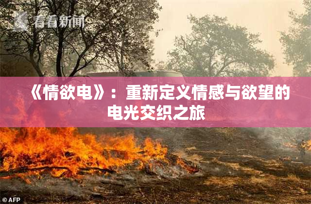 《情欲电》：重新定义情感与欲望的电光交织之旅
