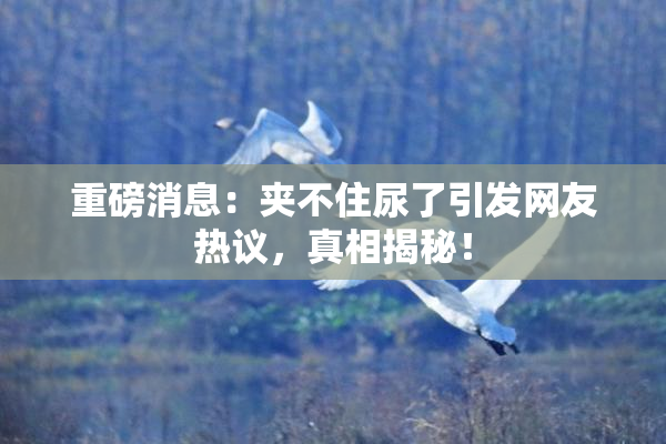 重磅消息：夹不住尿了引发网友热议，真相揭秘！