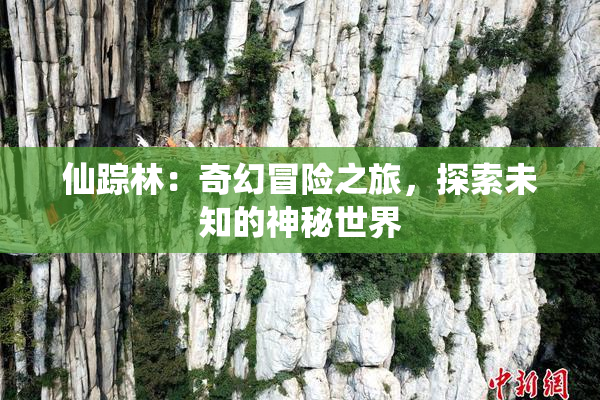 仙踪林：奇幻冒险之旅，探索未知的神秘世界