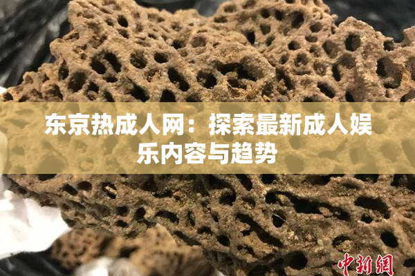 东京热成人网：探索最新成人娱乐内容与趋势