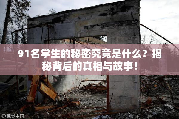 91名学生的秘密究竟是什么？揭秘背后的真相与故事！