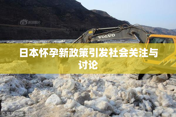日本怀孕新政策引发社会关注与讨论
