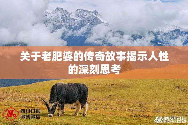 关于老肥婆的传奇故事揭示人性的深刻思考