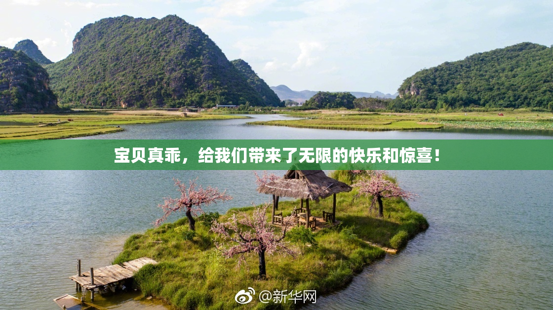 宝贝真乖，给我们带来了无限的快乐和惊喜！