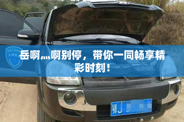 岳啊灬啊别停，带你一同畅享精彩时刻！
