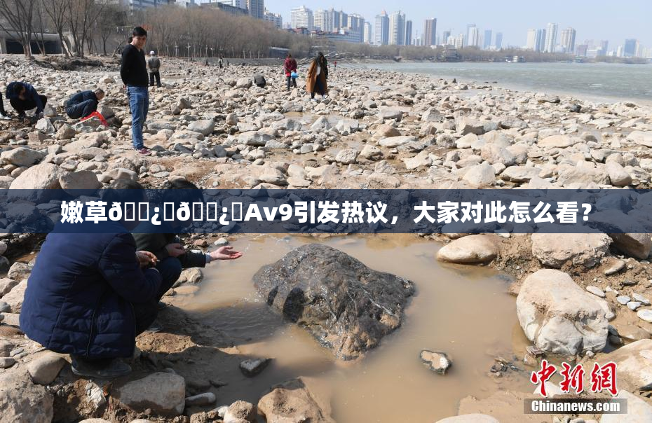 嫩草🌿‌🌿‌Av9引发热议，大家对此怎么看？