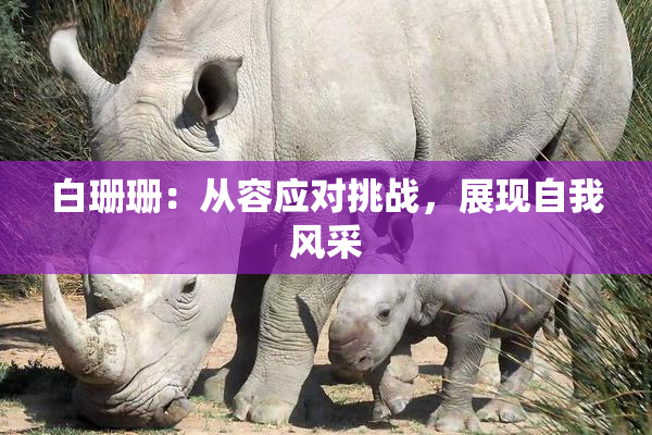 白珊珊：从容应对挑战，展现自我风采