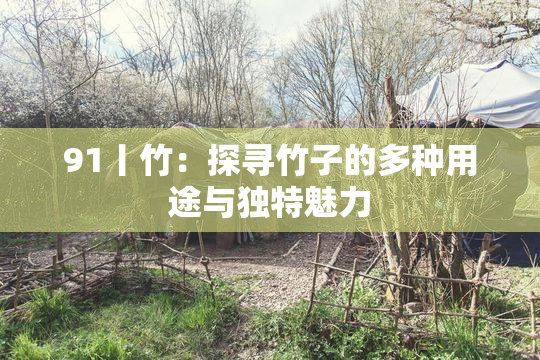 91丨竹：探寻竹子的多种用途与独特魅力