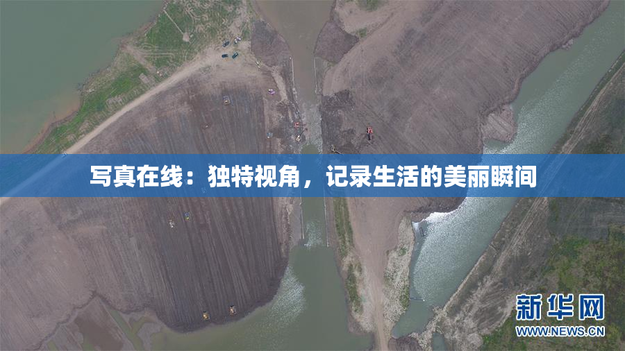 写真在线：独特视角，记录生活的美丽瞬间