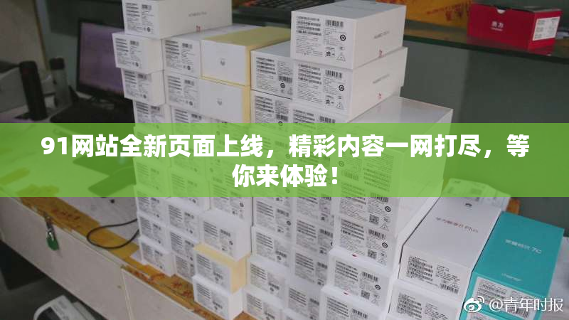 91网站全新页面上线，精彩内容一网打尽，等你来体验！