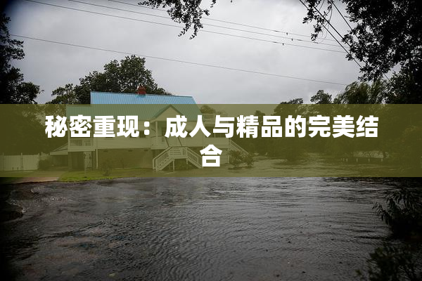 秘密重现：成人与精品的完美结合