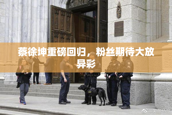 蔡徐坤重磅回归，粉丝期待大放异彩