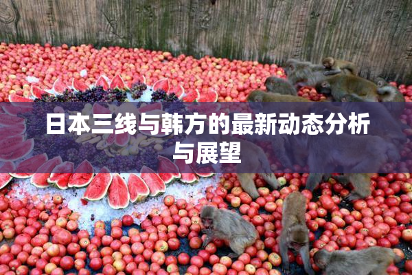 日本三线与韩方的最新动态分析与展望