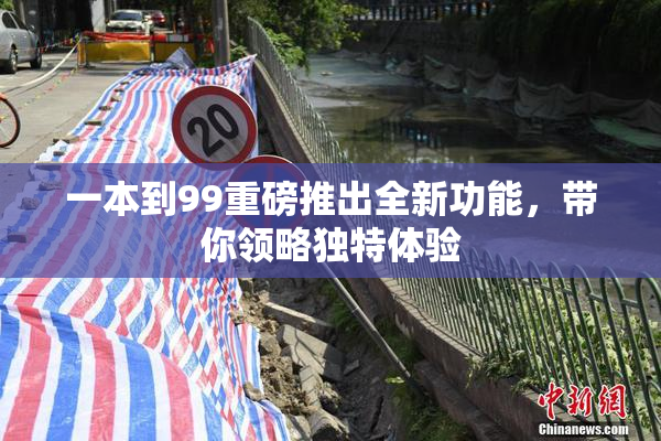 一本到99重磅推出全新功能，带你领略独特体验