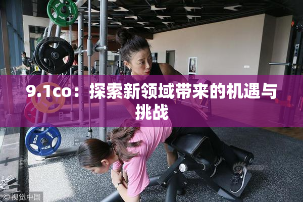 9.1co：探索新领域带来的机遇与挑战