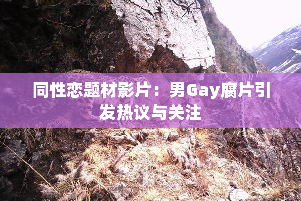 同性恋题材影片：男Gay腐片引发热议与关注