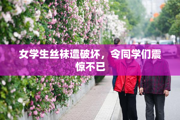 女学生丝袜遭破坏，令同学们震惊不已