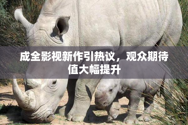成全影视新作引热议，观众期待值大幅提升