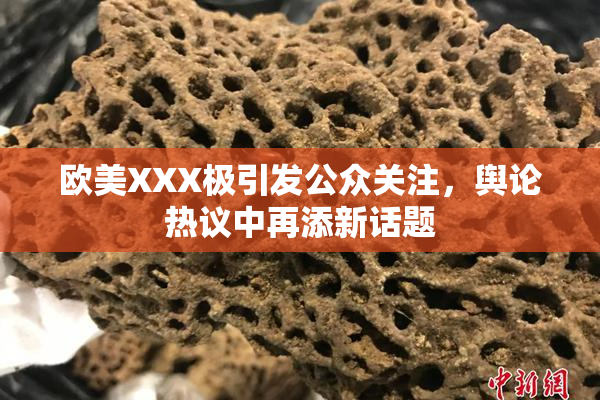 欧美XXX极引发公众关注，舆论热议中再添新话题