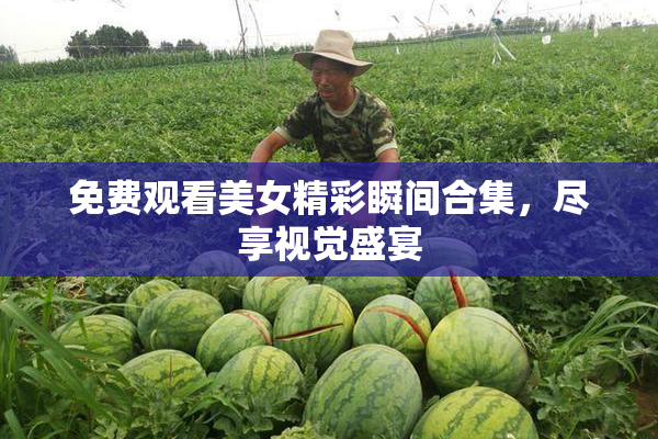 免费观看美女精彩瞬间合集，尽享视觉盛宴
