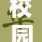 校园樱花绚丽盛开，春日景色如诗如画
