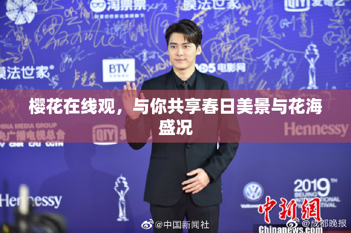 樱花在线观，与你共享春日美景与花海盛况