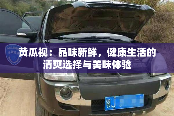 黄瓜视：品味新鲜，健康生活的清爽选择与美味体验