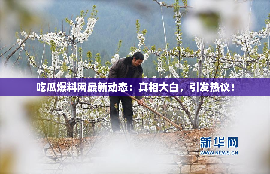 吃瓜爆料网最新动态：真相大白，引发热议！