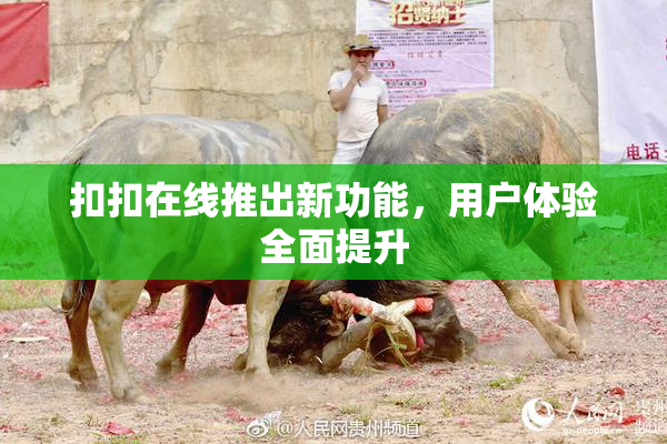 扣扣在线推出新功能，用户体验全面提升