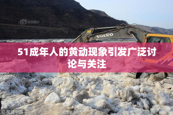 51成年人的黄动现象引发广泛讨论与关注