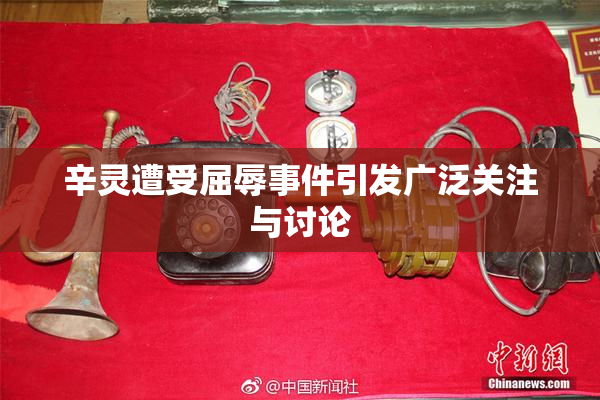 辛灵遭受屈辱事件引发广泛关注与讨论