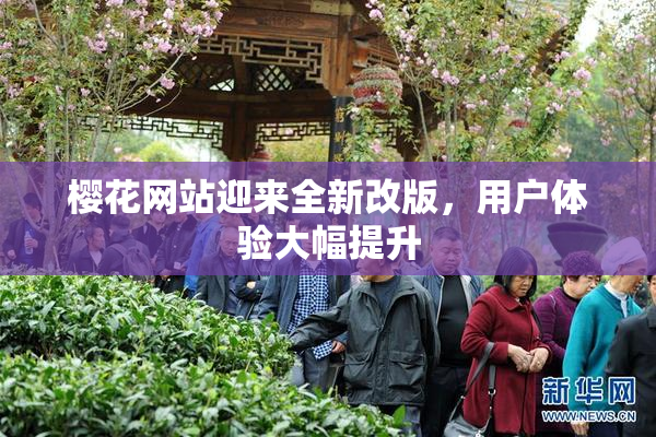 樱花网站迎来全新改版，用户体验大幅提升