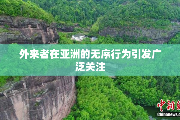 外来者在亚洲的无序行为引发广泛关注
