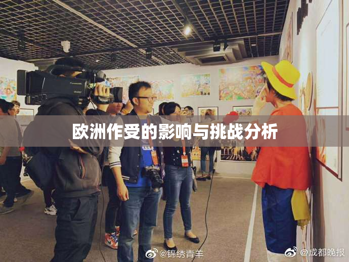 欧洲作受的影响与挑战分析