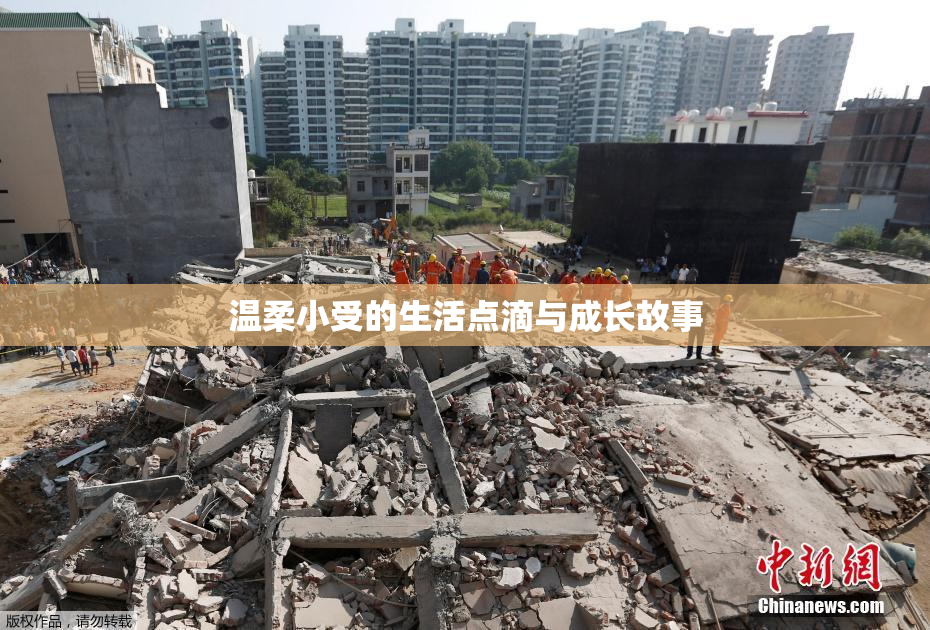 温柔小受的生活点滴与成长故事