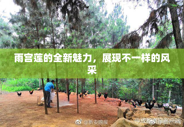 雨宫莲的全新魅力，展现不一样的风采
