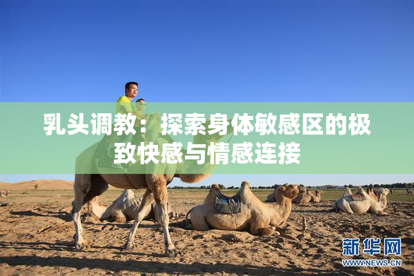 乳头调教：探索身体敏感区的极致快感与情感连接