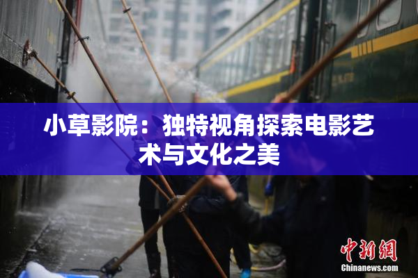 小草影院：独特视角探索电影艺术与文化之美