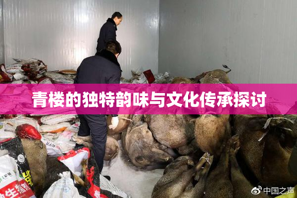 青楼的独特韵味与文化传承探讨
