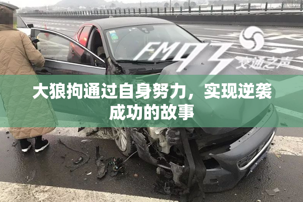 大狼拘通过自身努力，实现逆袭成功的故事