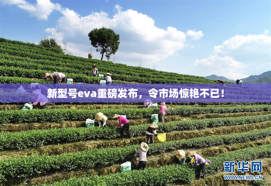 新型号eva重磅发布，令市场惊艳不已！