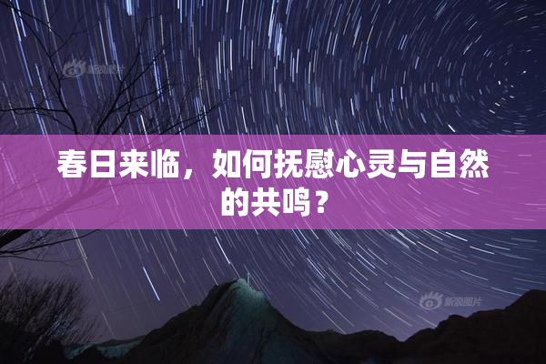 春日来临，如何抚慰心灵与自然的共鸣？