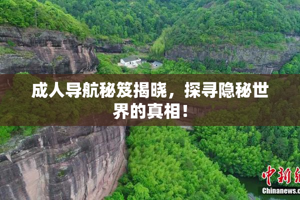 成人导航秘笈揭晓，探寻隐秘世界的真相！