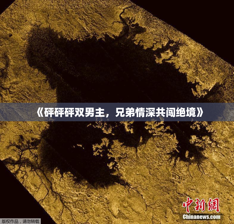 《砰砰砰双男主，兄弟情深共闯绝境》