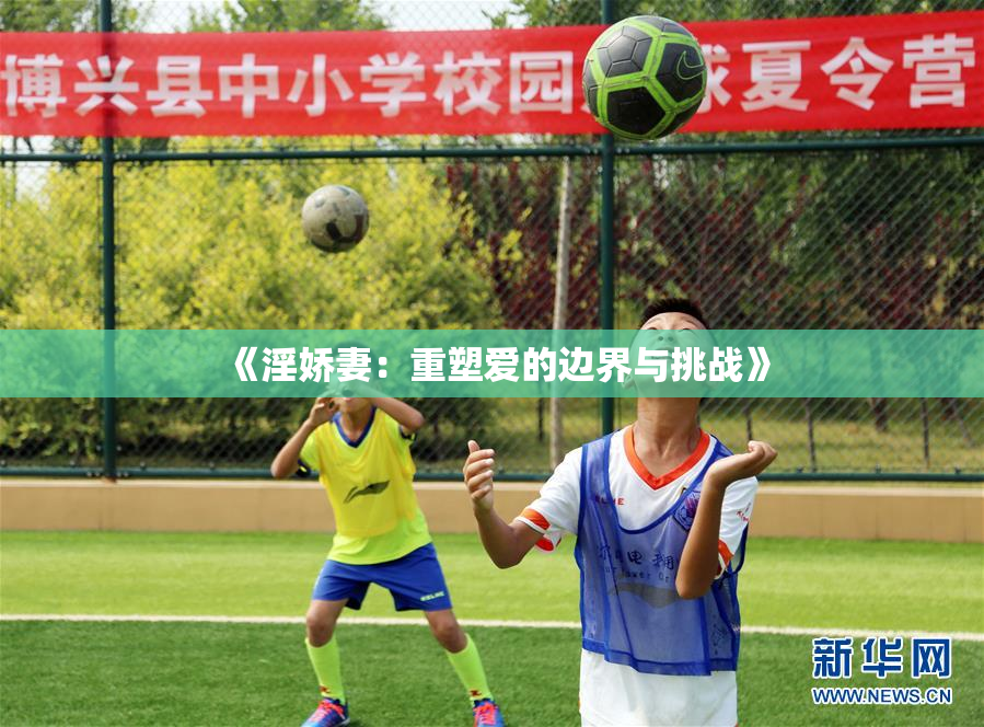 《淫娇妻：重塑爱的边界与挑战》